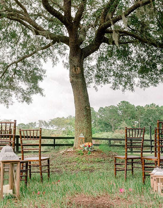 Ancient City Farmstead | Northeast Florida's Best Wedding & Event Venue | St. Augustine, Florida