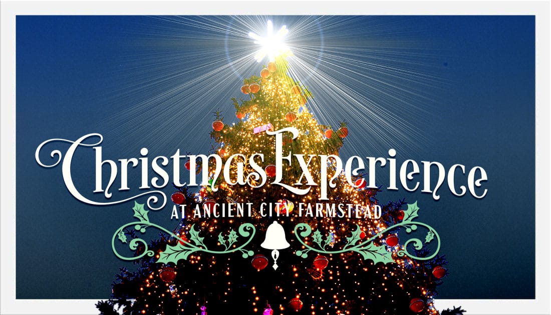 Christmas Experience at Ancient City Farmstead, St. Augustine, FL